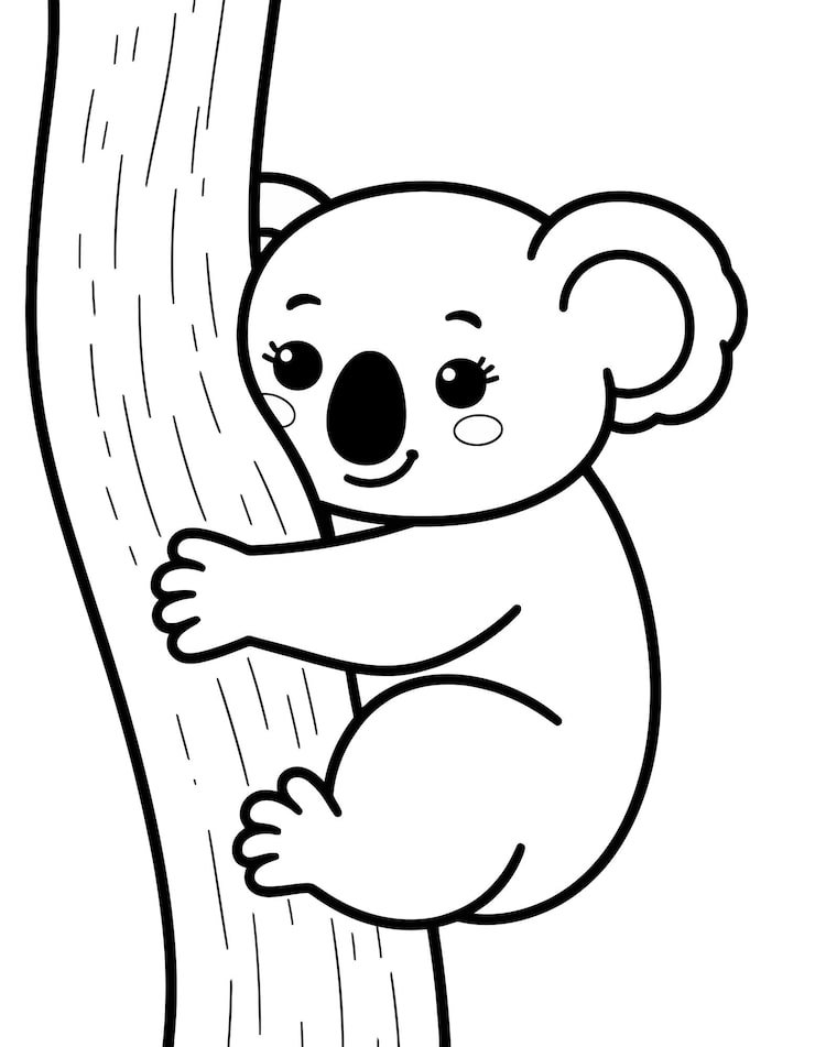 Black White Drawing Koala Bear Tree 1166600 817