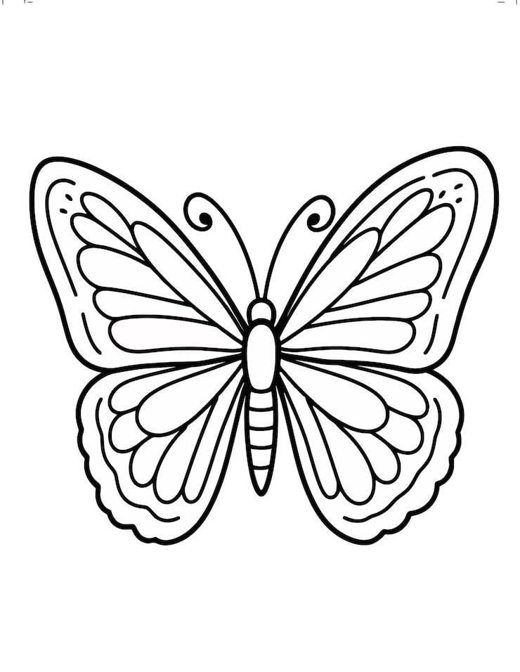 Butterfly Drawing With Black Outline Words Butterfly 1166600 888