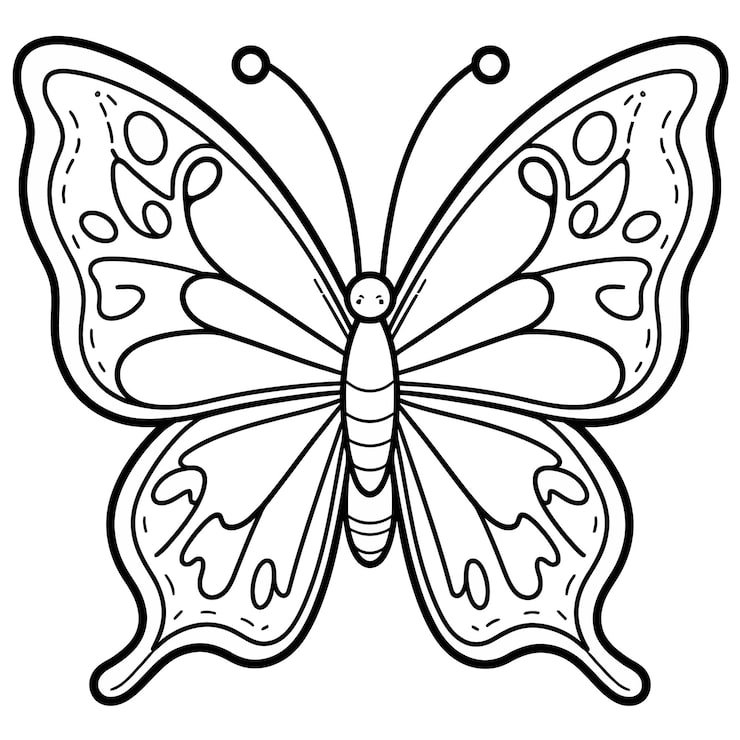 Butterfly With Black Outline White Background 1166600 934