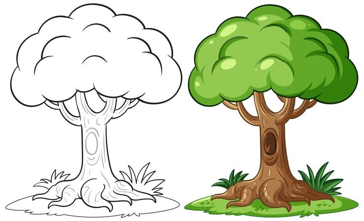 Cartoon Tree Illustration Color Outline 1308 179479