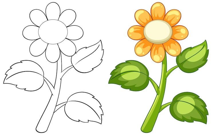 Colorful Flower Outline Vector Illustration 1308 179697