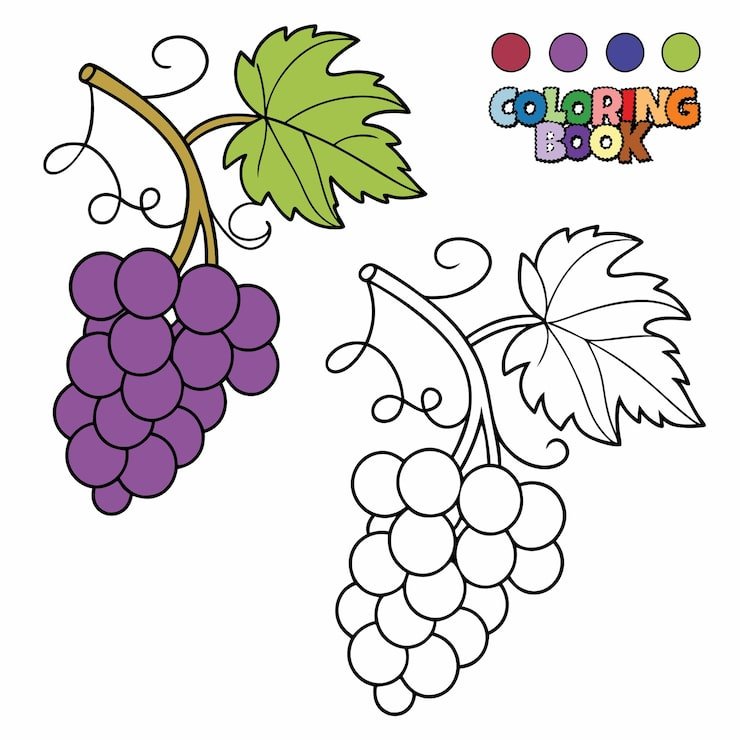 Coloring Book Kids Grape 849674 1102