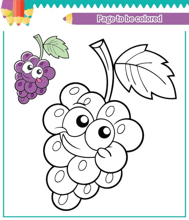 Coloring Book Kids Grapes Vector Two Pictures One Colored Other Without Color 849674 1462