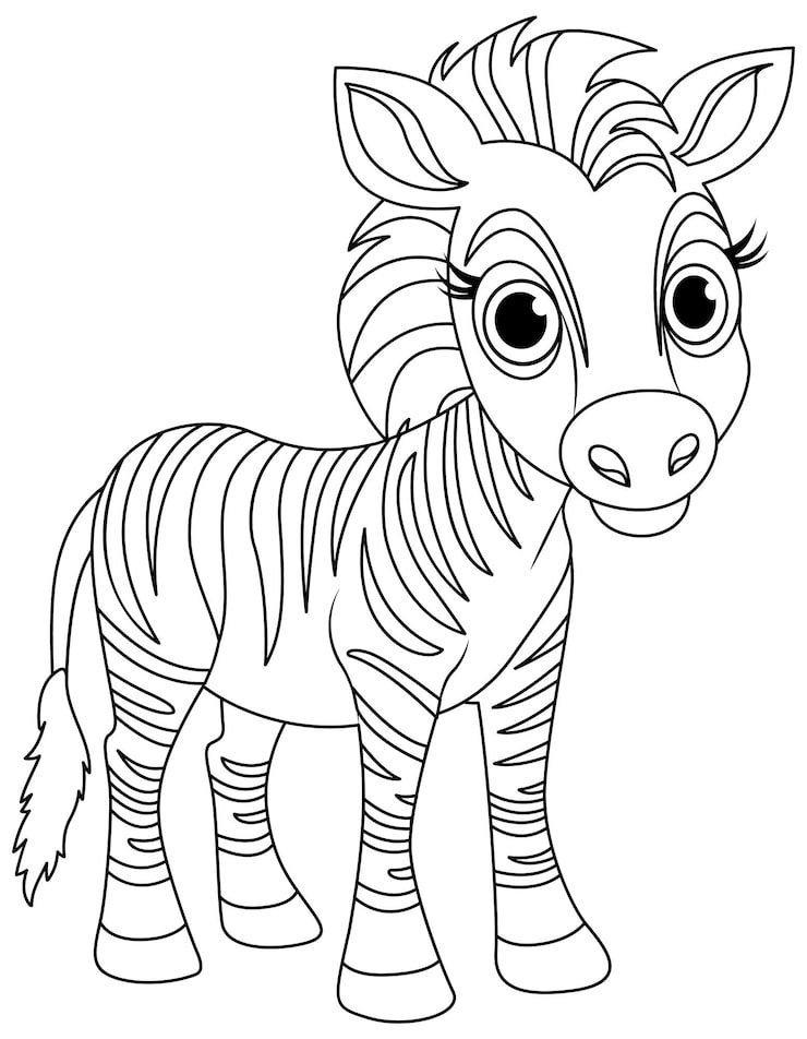 Cute Zebra Doodle Coloring Cartoon Character 1308 146716