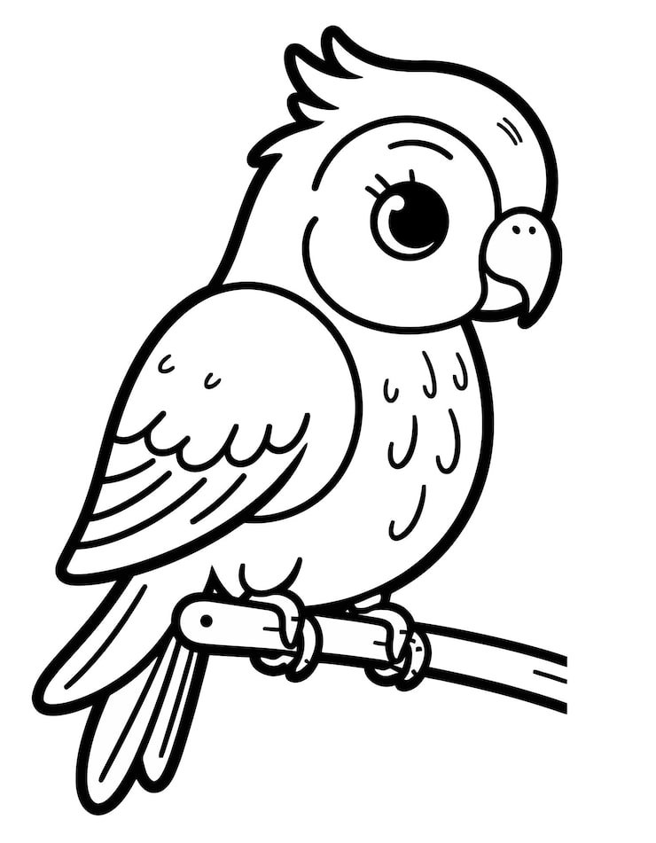 Drawing Bird With Black Outline Words Owl It 1166600 990