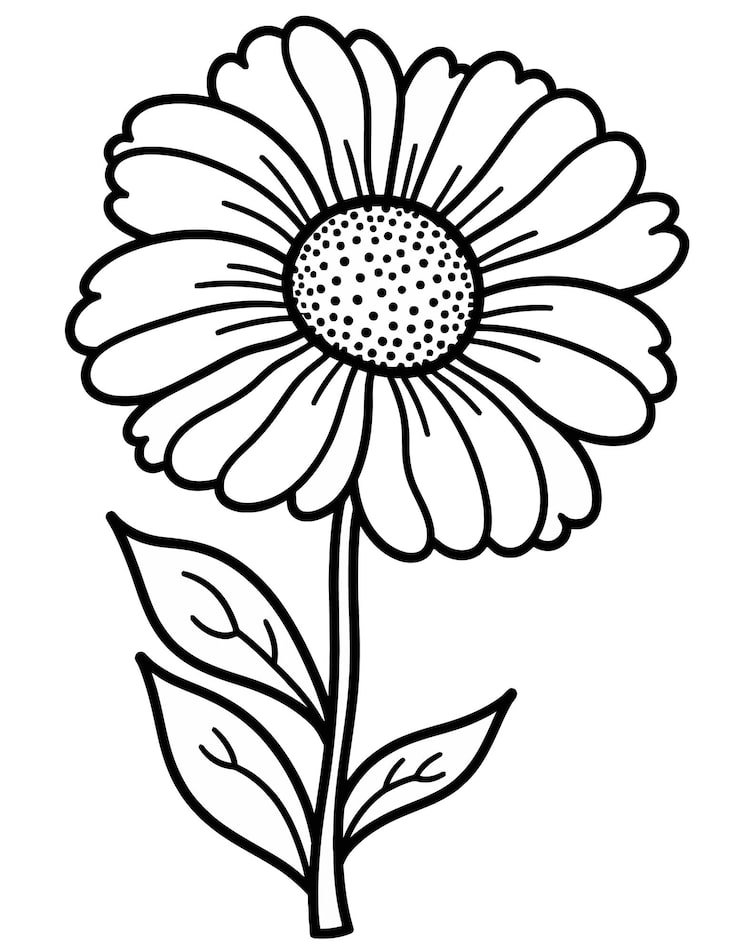 Drawing Daisy With White Flower It 1166600 966