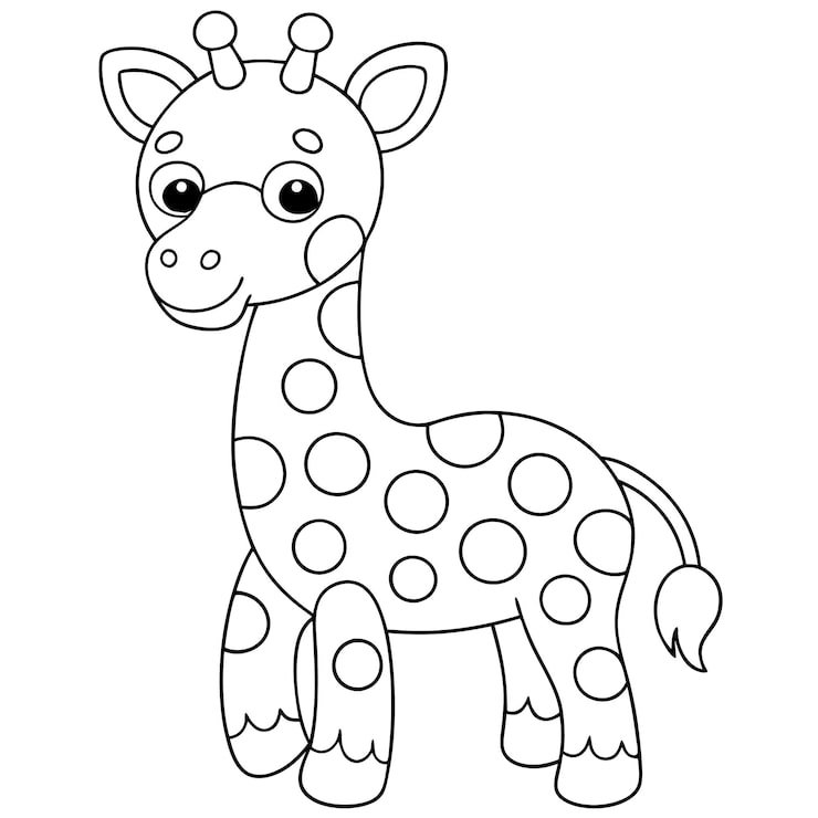 Giraffe With Black White Drawing Giraffe 950295 919