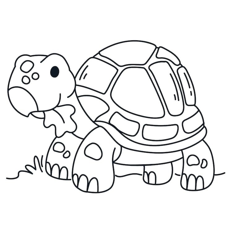 Hand Drawn Turtle Outline Illustration 23 2149266714