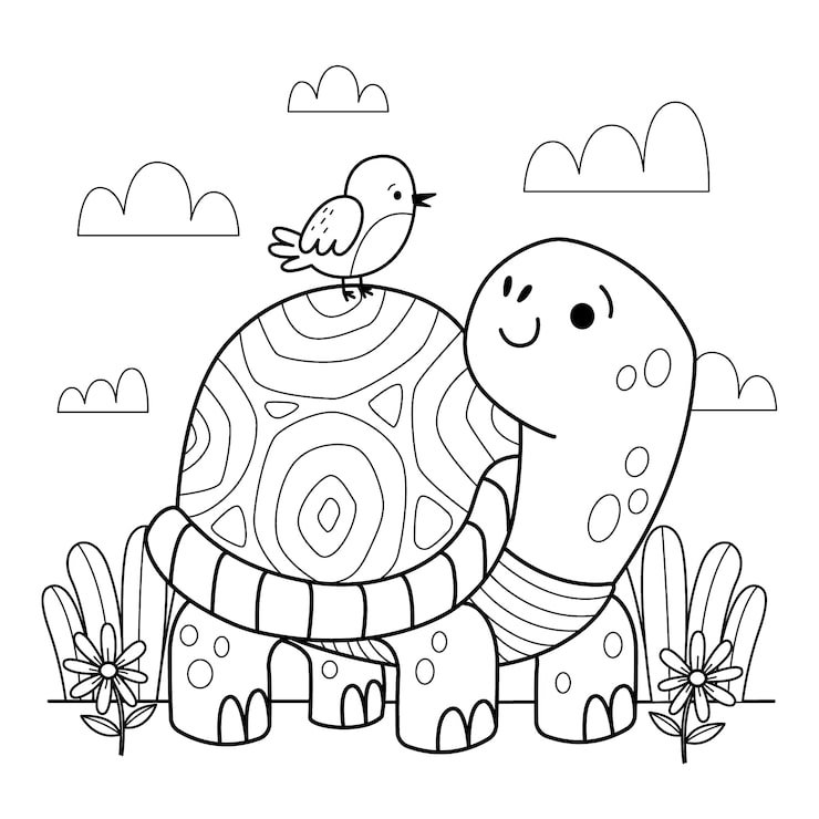 Hand Drawn Turtle Outline Illustration 23 2149301917