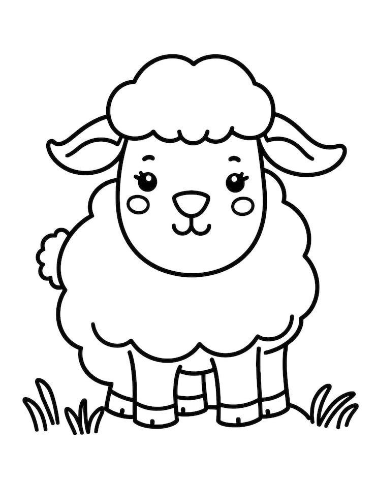 Sheep With Black White Face Black White Background 1166600 938