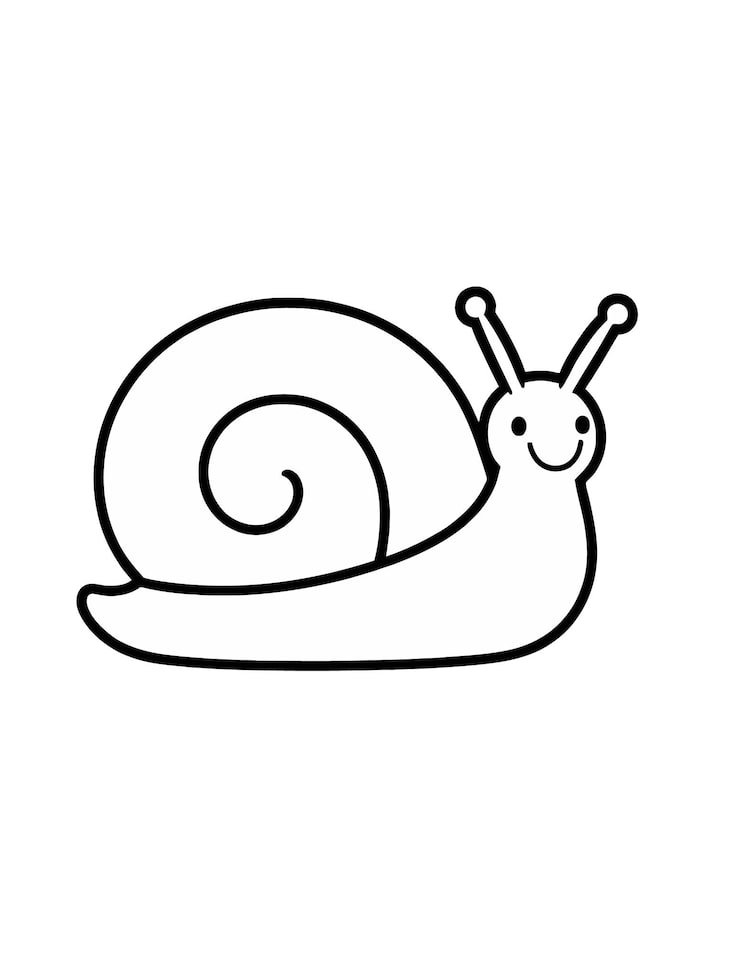 Snail With Long Tail Is Drawn White Background 1166600 1034